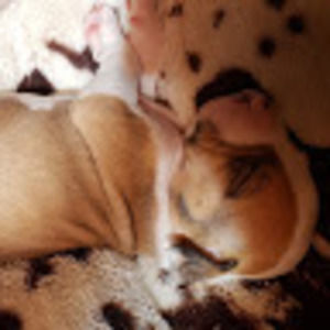 Meet your Posher, Carlie